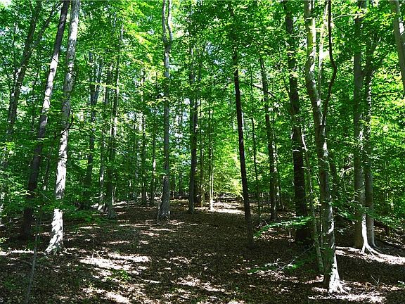 5th image of 338-278 Hancock Rd