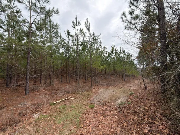 Bff Ii 3 J C Barefoot Rd, Patrick, SC 29584