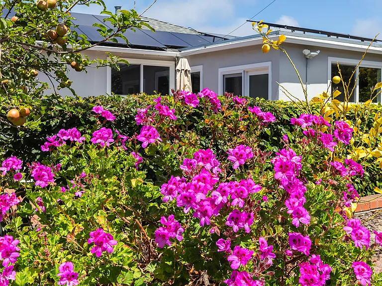 460 Valverde Dr — Photo 24