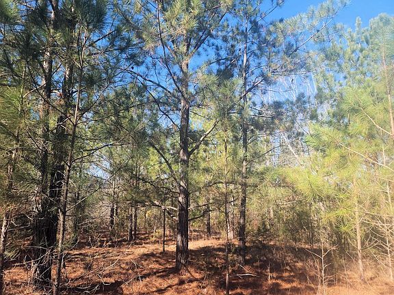 5th image of (Undisclosed Address)