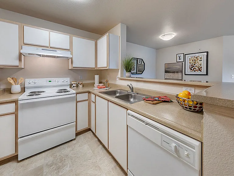 Fully-equipped kitchens with dishwashers