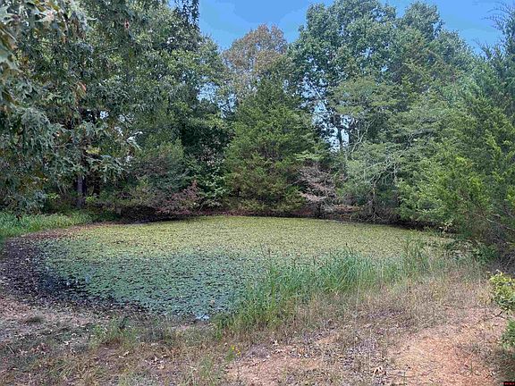 5th image of TRACT 2 Little Woods Rd
