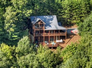 279 Dream Cove Rd, Cherry Log, GA 30522