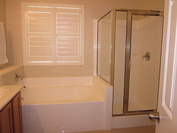 master bathroom tub and shower
