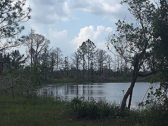 2nd image of Winter Haven Dr