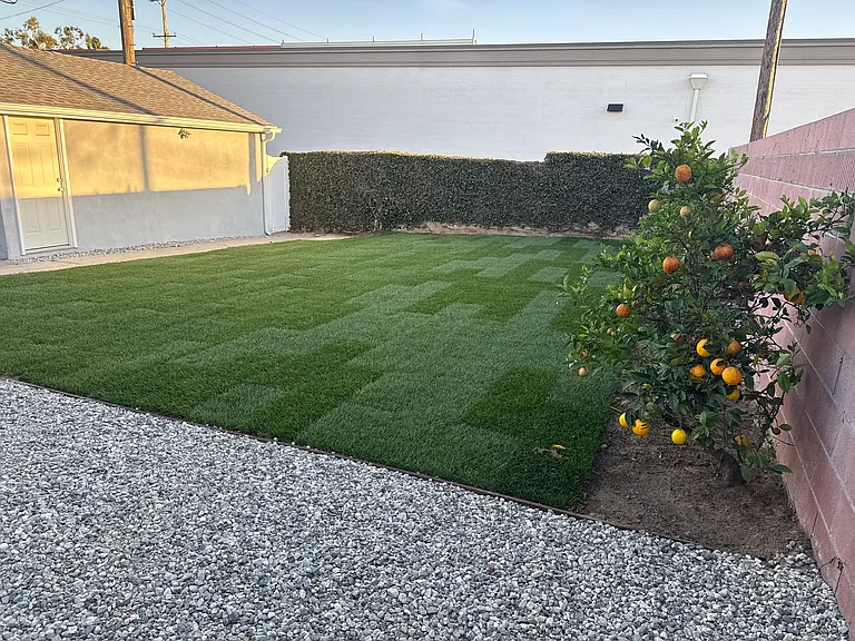 back yard (back against house wall)