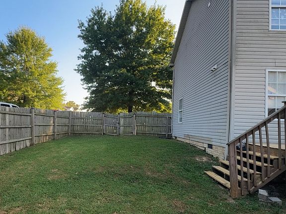 Back yard