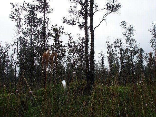 2nd image of Road 6 Ooaa Lot 4231