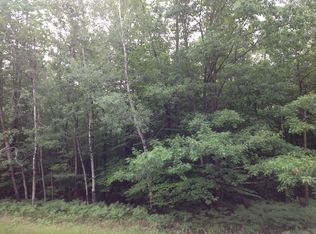 Michaywe Dr, Gaylord, MI 49735