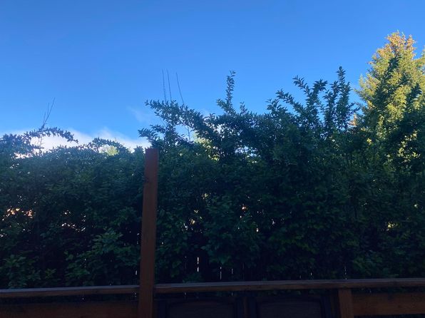 1070 Elk Run Ln APT 43