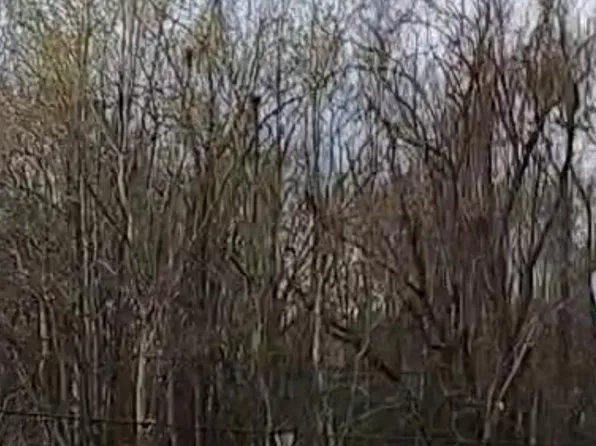 LOT 91 Rosario Dr Lot 91, Baton Rouge, LA 70811