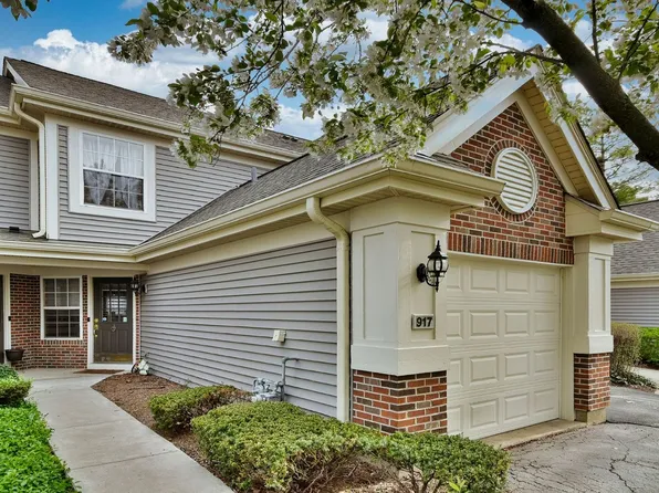 917 Little Falls Ct, Elk Grove Village, IL 60007