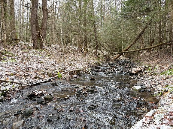 3rd image of 154 Walker Rd