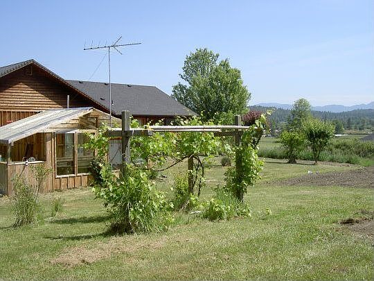 Custom Green House - plus the grapes