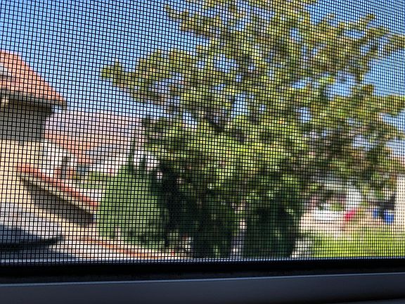 view of hills from Master bath