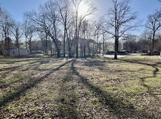 380 Buchanan Resort Rd, Springville, TN 38256