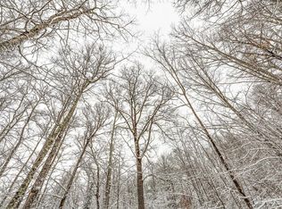 On Eagles Nest Rd, Phelps, WI 54554