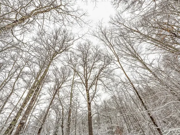 On Eagles Nest Rd, Phelps, WI 54554