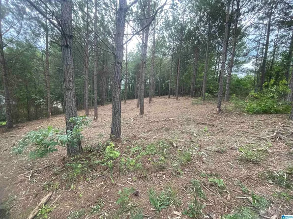 421 Alabama Blvd #14, Trussville, AL 35173