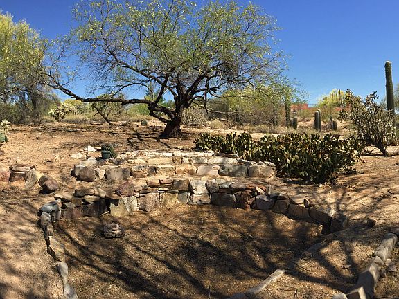 Backyard.