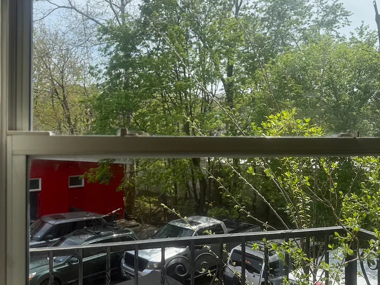 254 Bloomfield Ave #4 — Photo 5