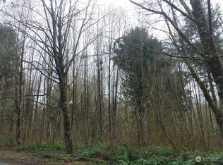 0 N River Rd, Cosmopolis, WA 98537