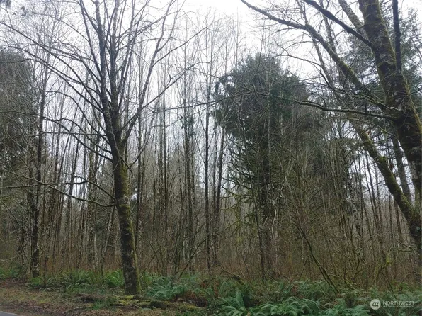 0 North River Road, Cosmopolis, WA 98537