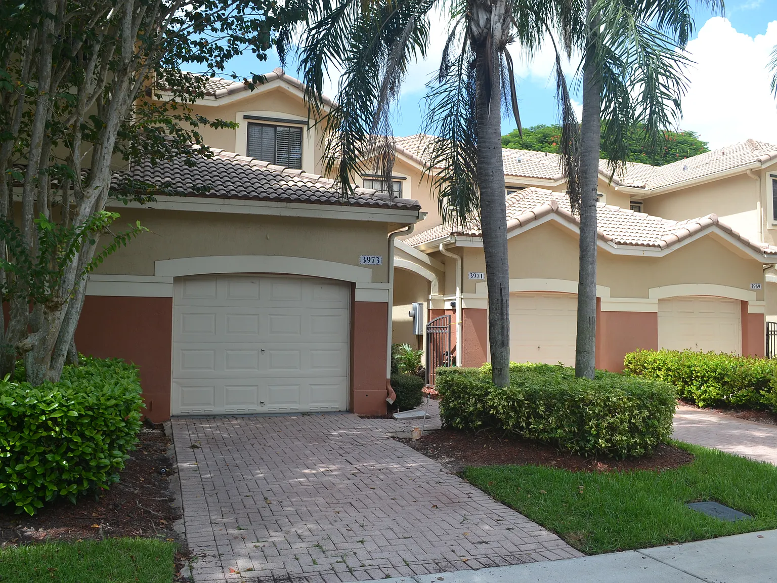 3973 Orange Tree Ln — Photo 3