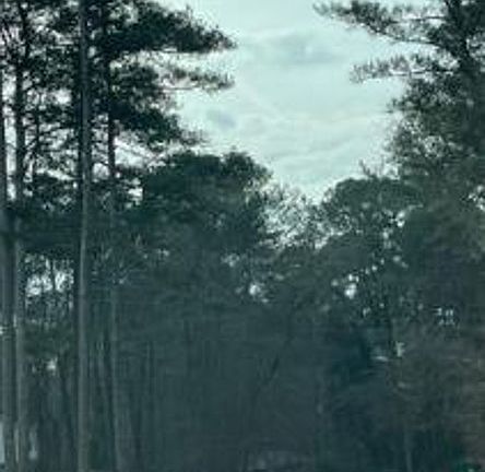 Exterior Neighborhood (street photo)