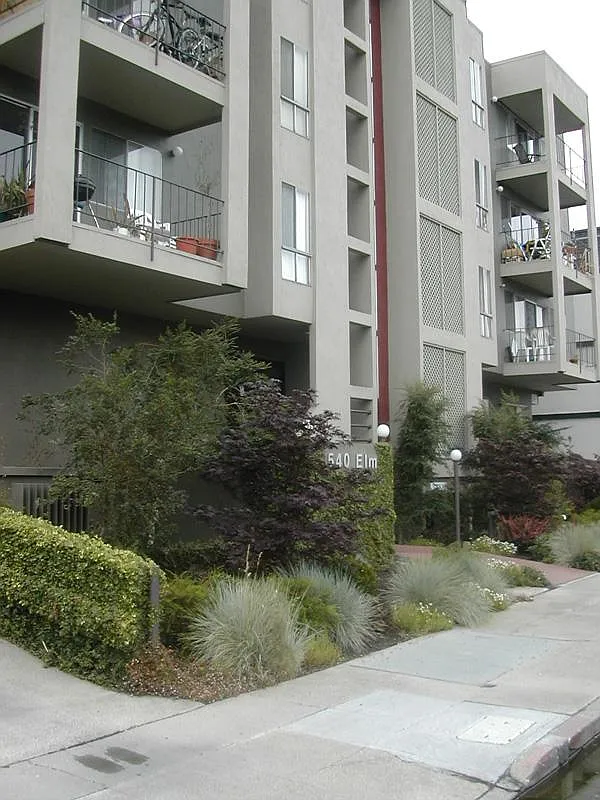 540 Elm Street — Photo 3