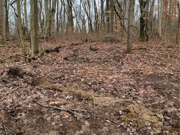 2 Vance Dr, Burgettstown, PA 15021