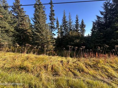 2 E End Rd, Homer, AK, 99603