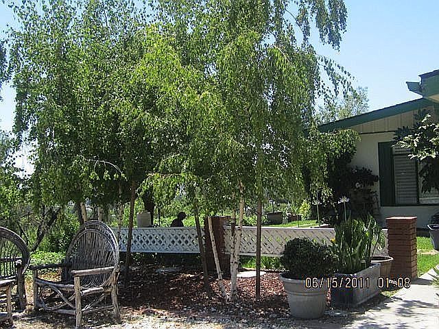 Curbside View of House