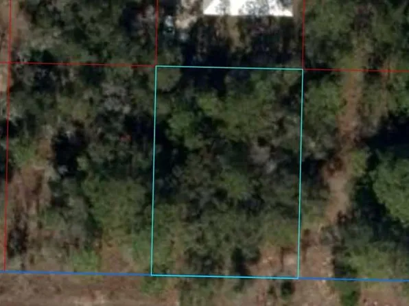 NE 13th Pl Lot 16, Williston, FL 32696