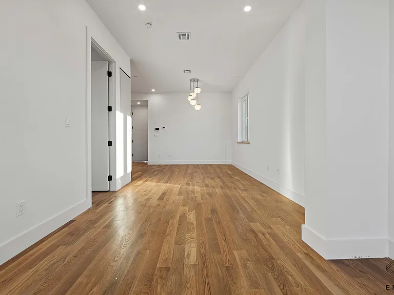 917 Broadway #2B — Photo 5