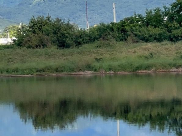 1 Coto Laurel, Ponce, PR 00730