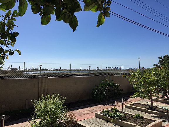 View of Wetlands from back yard