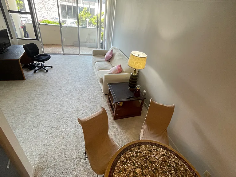 2510 Torrey Pines Rd — Photo 13