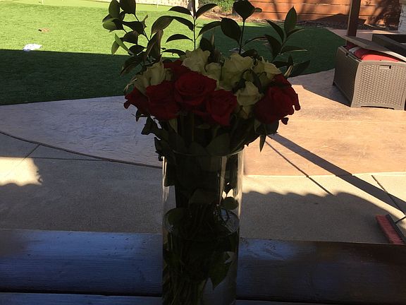 Living room to Backyard 