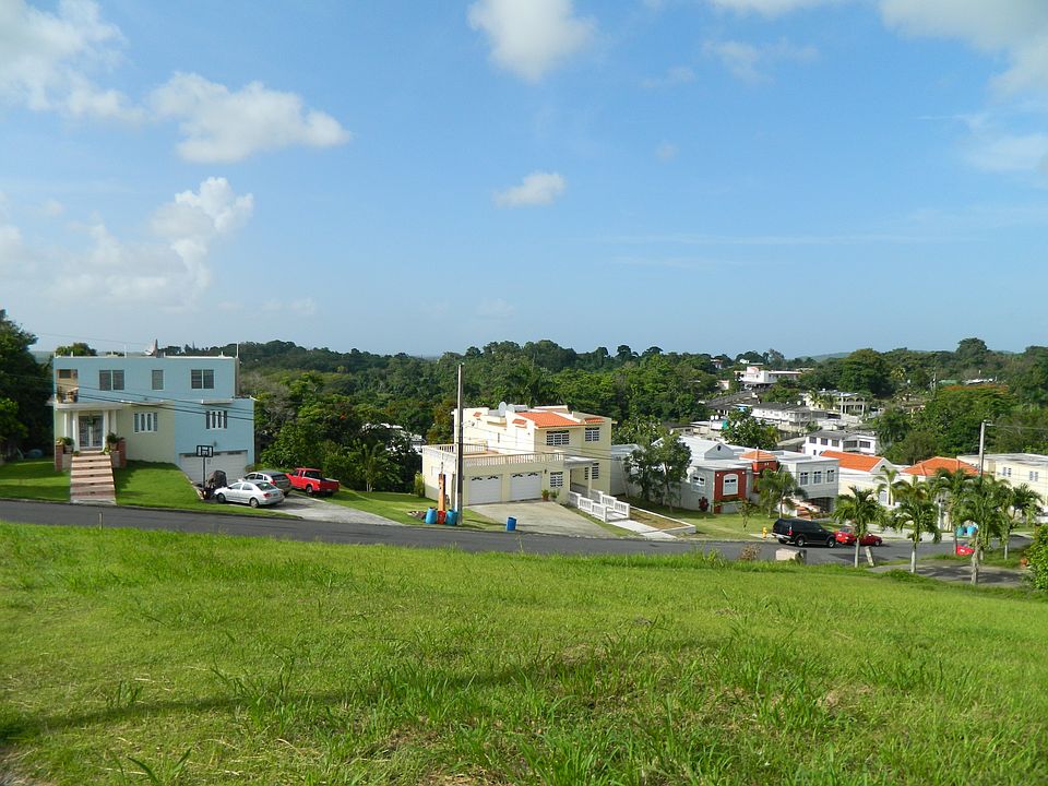 The view from the property