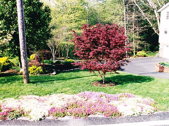 Landscaped Side Yard