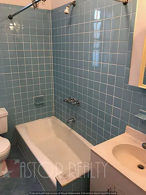 Rented by Astor Realty | media 60