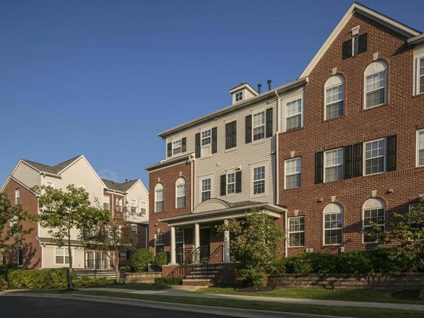 25300 Constitution #42785