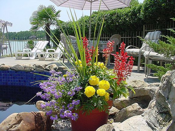 View from pool to lake