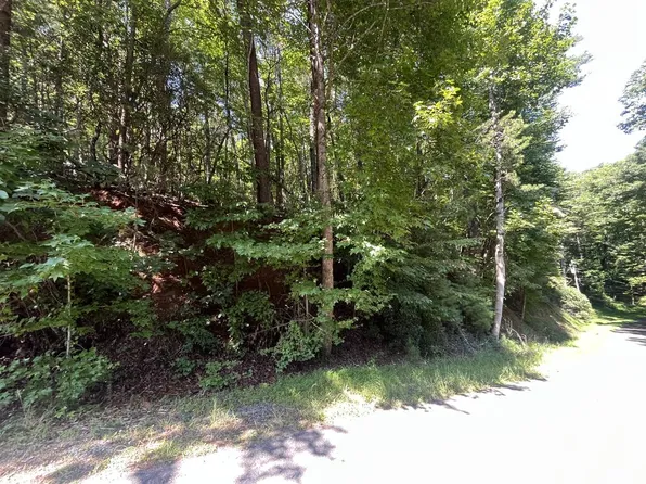 P 10 Gold Mine Dr, Ellijay, GA 30536