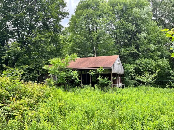 247 Birch Ln, Tionesta, PA 16353