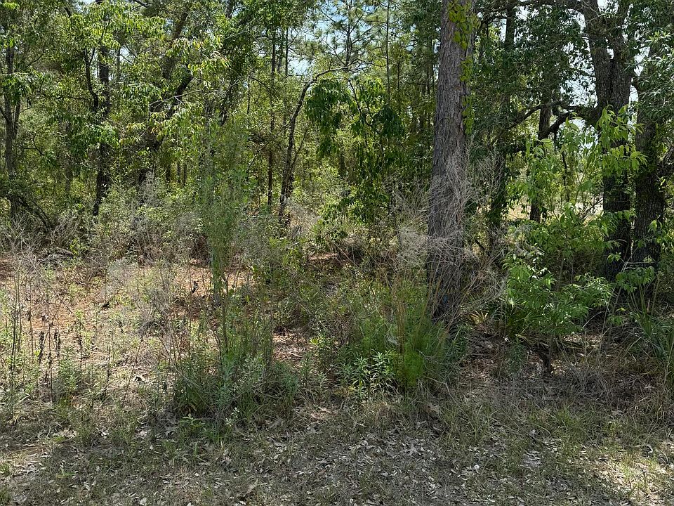 2nd image of 0 Snow Goose Ave