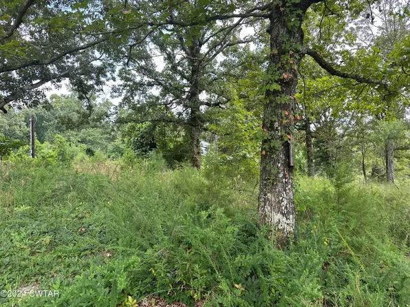 380 Vires Rd, Finger, TN 38334