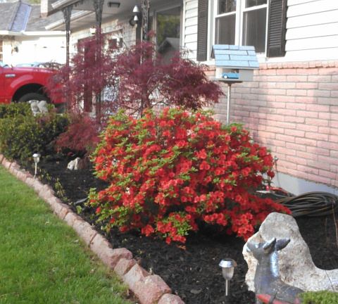 4th image of 5132 S Willis Ave