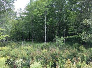 Morgan Rd, Livingston Manor, NY 12758